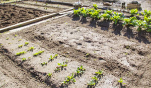 そらやまの丘　そらやまファーム