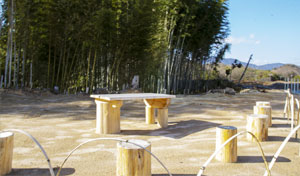 そらやまの丘　ペットお散歩コース